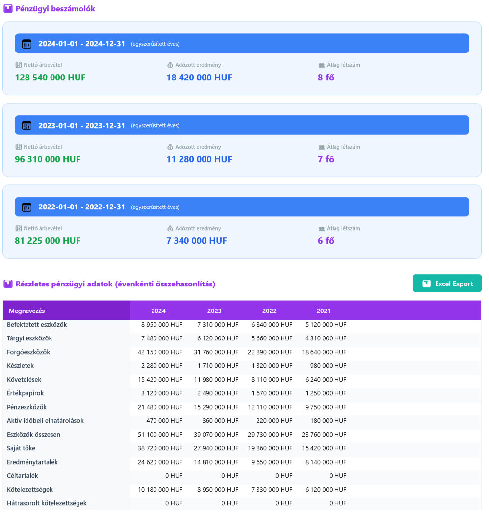 Cég adatok - Pénzügyi adatok fül